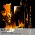 Dior Homme Parfum Ambery, Woody and Floral Notes 75ML