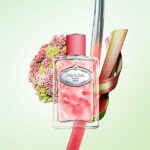 Prada Infusion de Rhubarbe Eau De Parfum 100ml