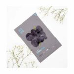 Holika Holika Pure Essence Mask Charcoal Sheet 23ml