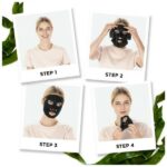 Garnier Skin Active Pure Charcoal Black Tissue Mask 28gr
