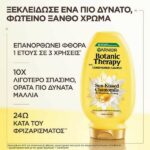 Garnier Botanic Therapy Sun-Kissed Chamomile & Blossom Honey Conditoner 200ml