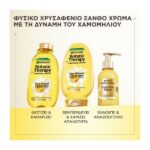 Garnier Botanic Therapy Sun-Kissed Chamomile & Blossom Honey Shampoo 400ml