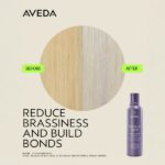 Aveda Botanical Repair Purple Toning Shampoo 200ml